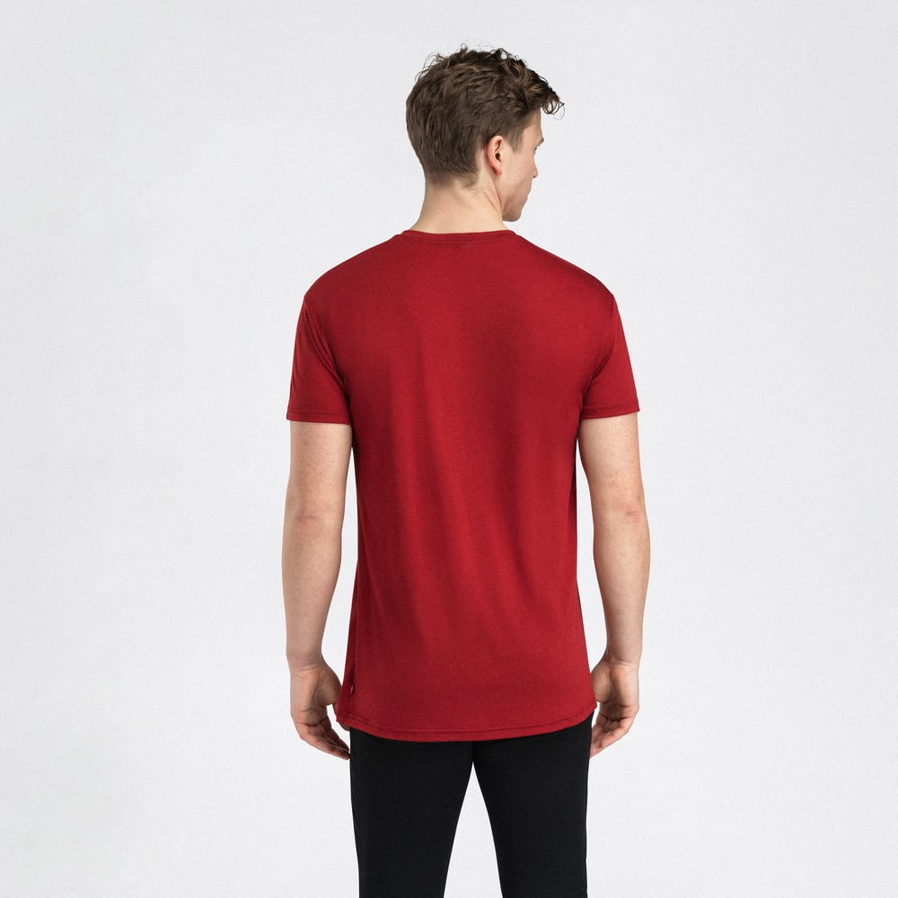LightWool 140 classic tee M's Red Dahlia, view: 1
