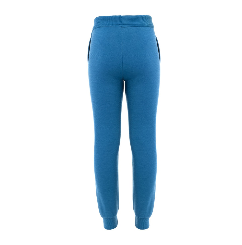 FleeceWool V2 Joggers Jr Corsair, view: 1