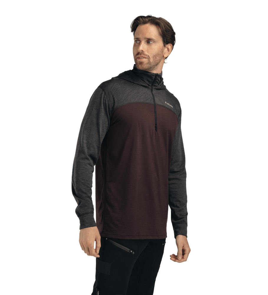 LightWool 180 Hoodie M's Chocolate Plum/Marengo, view: 1