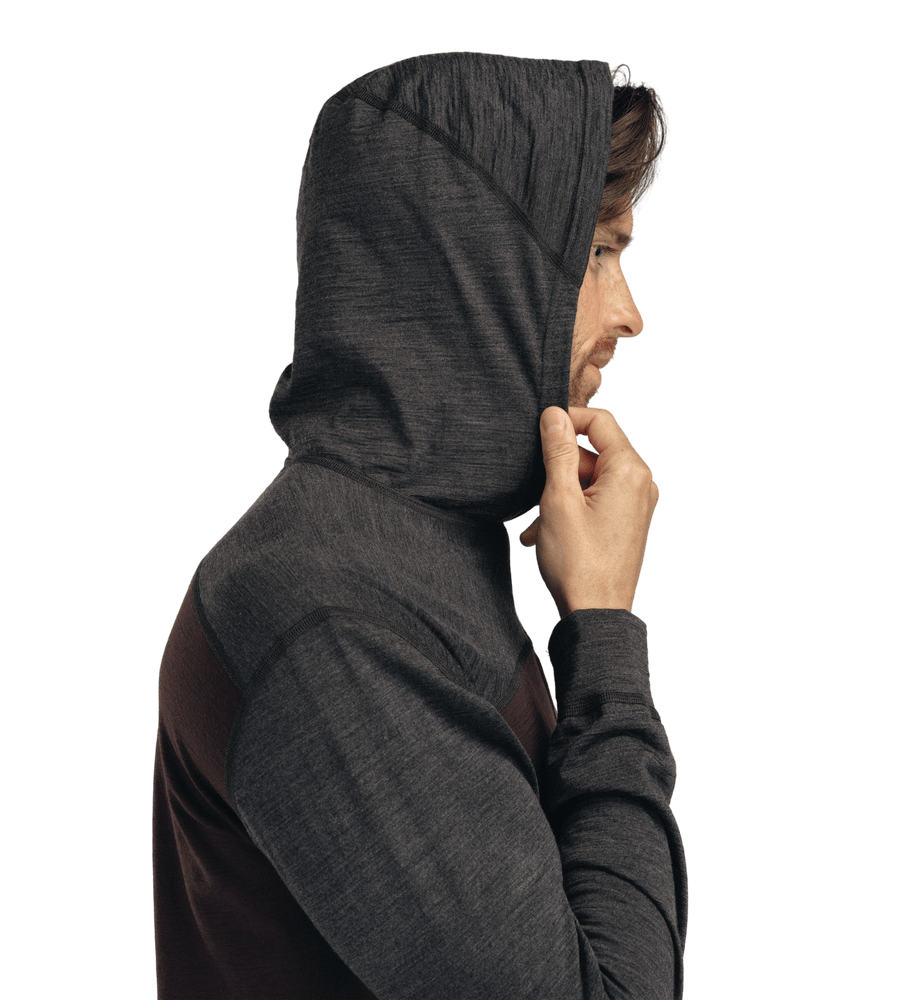 LightWool 180 Hoodie M's Chocolate Plum/Marengo, view: 3