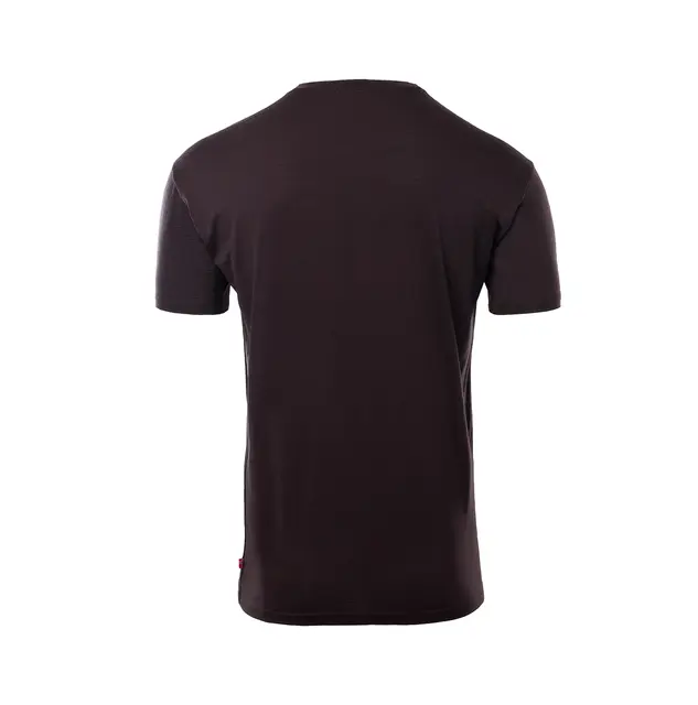 LightWool 180 Classic Tee M's Chocolate Plum L 