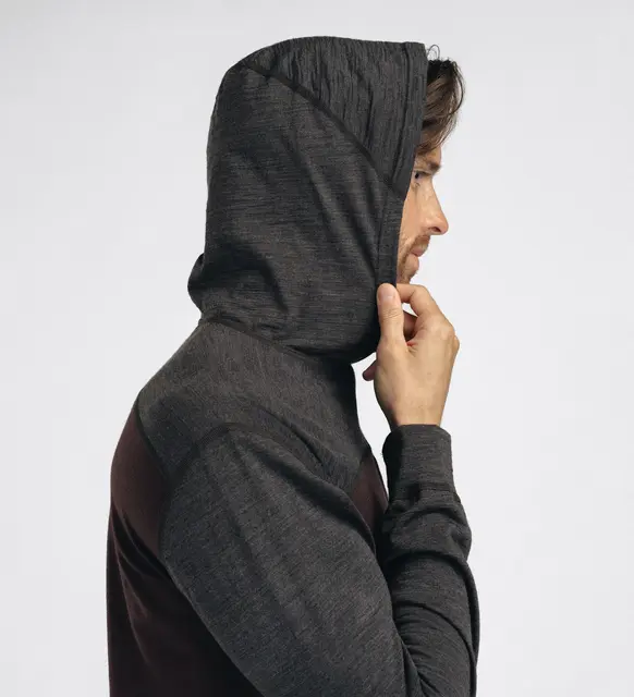 LightWool 180 Hoodie M's Chocolate Plum / Marengo S 