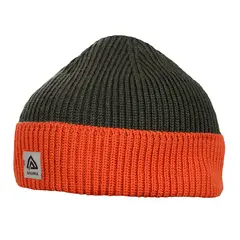 Explorer beanie OliveNight/Poinciana Onesize
